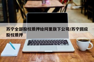 苏宁全部股权质押给阿里旗下公司/苏宁回应股权质押