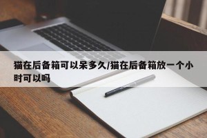 猫在后备箱可以呆多久/猫在后备箱放一个小时可以吗