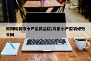 海南精装修小户型商品房/海南小户型装修效果图