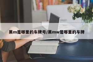 黑m是哪里的车牌号/黑mw是哪里的车牌