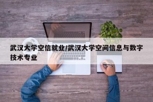武汉大学空信就业/武汉大学空间信息与数字技术专业