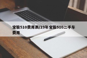 宝骏510费用表/19年宝骏510二手车费用