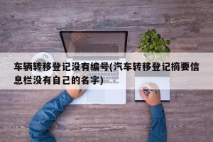 车辆转移登记没有编号(汽车转移登记摘要信息栏没有自己的名字)