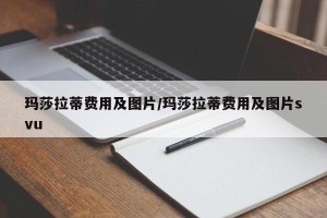 玛莎拉蒂费用及图片/玛莎拉蒂费用及图片svu